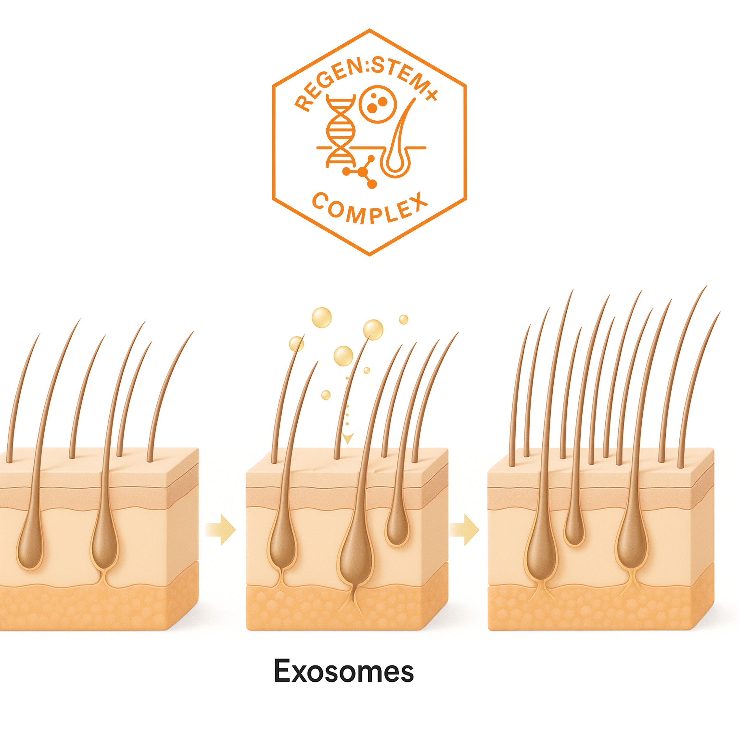 EV concept art for scalp care