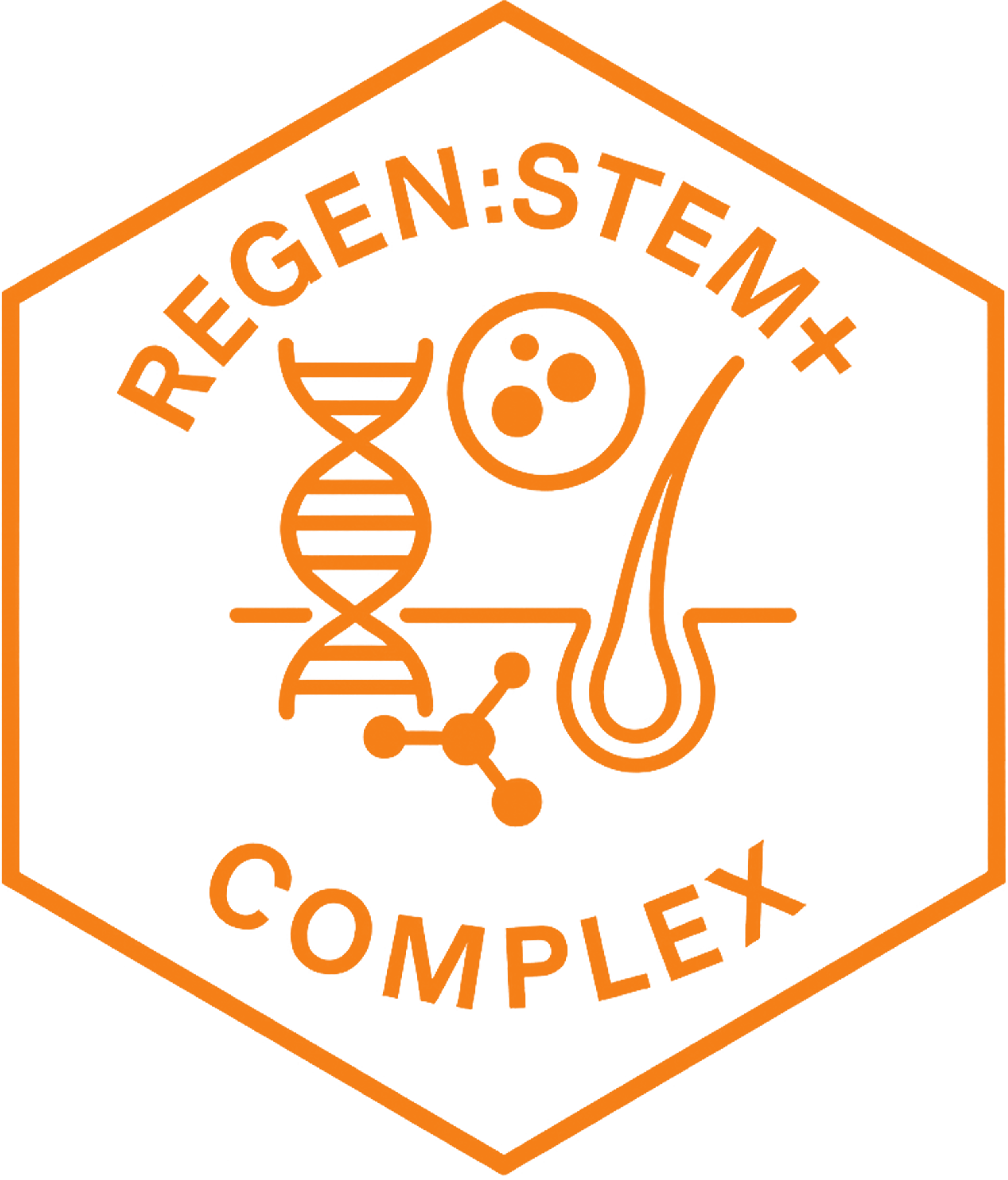 Formula Icon
